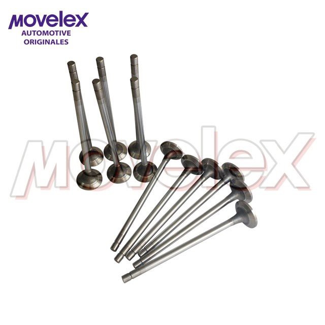Intake Valve M11 Cummins
