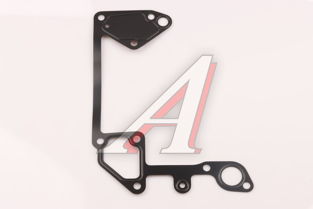 Water pump gasket SITRAK HOWO MOVELEX